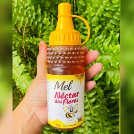 MEL PURO SERRA DA CANASTRA 280ML